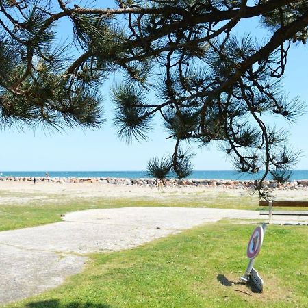 Appartement Cosy Avec Mezzanine, 6 Couchages, A 500M De La Mer - St Cyprien - Fr-1-225D-168 Saint-Cyprien  Buitenkant foto